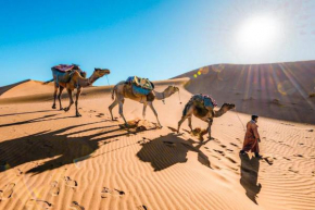 merzouga desert camp